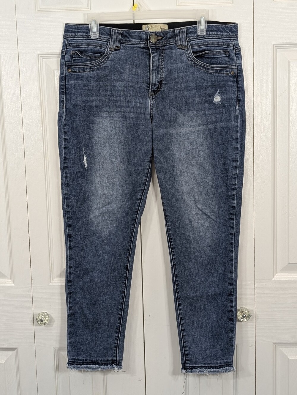 Democracy: "Ab" technology - Skinny ankle w/ raw hem